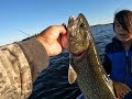 flatline trolling for fall lake trout 🎣🎣🎣