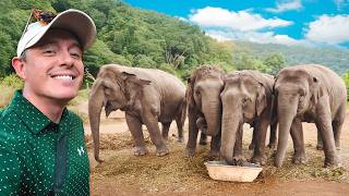 I Tried Thailand’s ‘Most Ethical’ Elephant Sanctuary 🇹🇭 Honest Review