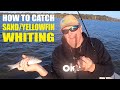 How to Catch Sand / Yellowfin Whiting with Paul Chew