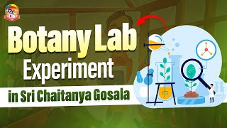 Botany Lab Experiment in Sri Chaitanya Gosala Boys Campus || Botany Labs  || @srichaitanyagosala