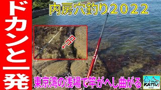 EP.82【千葉内房穴釣り】久々に大型ゲット！金谷IC入口海浜公園の穴釣りはホントにエキサイティングだ！（初心者でも安全）