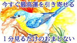 【今すぐ効きます】即効で最高運を引き寄せる超好転波動417Hzの1分開運おまじない