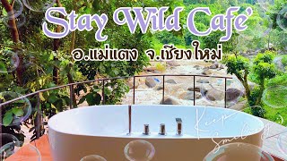 ที่พักอำเภอแม่แตง : จังหวัดเชียงใหม่ : Stay wild \u0026 cafe Chiangmai : Stay wild cafe #ที่พักแม่แตง