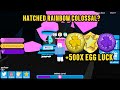 I Hatched the New Split Egg with Max Egg Luck | Bubble Gum Emperors