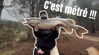 PÊCHE INATTENDUE !!! NOUVEAU RECORD BROCHET 🎉🎉