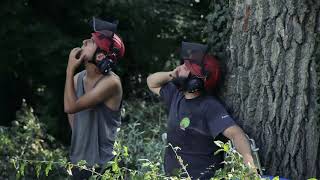 ELAGAGE \u0026 ABATTAGE PAR DEMONTAGE D’ARBRES AUX ABORDS D’UN COURS D’EAU - Groupe Holtzinger