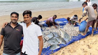 மீன் விலை இவ்ளோவா 😱 Fish Auction in Tamil Nadu 🐠 I met Tuticorin fisherman