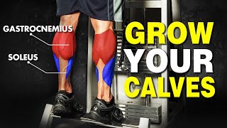 Stubborn Calves Won't Grow? 3 Quick Tips for Calf Growth