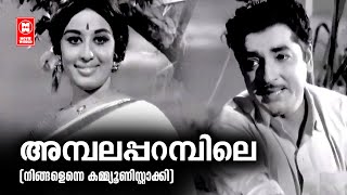 Ambalapparambile | Ningalenne Communistakki  | G Devarajan | KJ Yesudas | Sheela | Prem Nazir