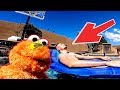 Elmo Make's A New Pool Friend Ft Best In Class!