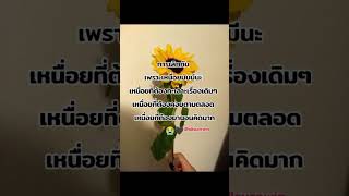 #สตอรี่ความรู้สึก #เธรดสตอรี่ #love #sad