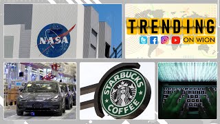 TV news anchor sacked in Turkey for using Starbucks cup on broadcast | Trending on WION