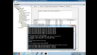 Digital Sentry Troubleshooting: Networks