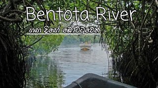 ගඟ දිගේ | Bentota river