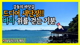 [Subtitles] The Great Nature of Korea