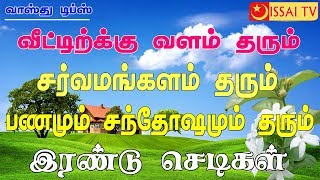 சகல நன்மை தரும் வாஸ்து செடிகள் இரண்டு - House  lucky vaasthu plant|issai tv|tamil