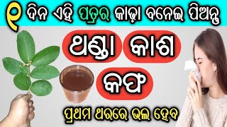 ୧ ଦିନ ଏହି ପତ୍ରର କାଢା ବନେଇ ପିଅନ୍ତୁ, ଥଣ୍ଡା-କାଶ-କଫ ପ୍ରଥମ ଥରରେ ଭଲ ହେବ | Cold and Cough Homemade Remedy