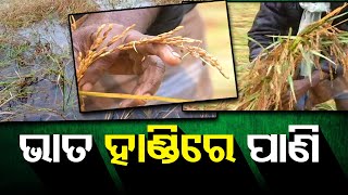 ଭାତ ହାଣ୍ଡିରେ ପାଣି  | Odisha Reporter