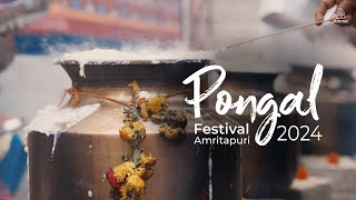 Pongal 2024 - Amritapuri Highlights