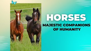 Horses: Majestic Companions of Humanity