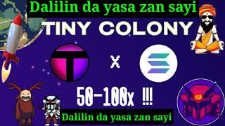 BAYANI, YANDA ZAKA SAMU 500,000 DA -TINY COLONY CRYPTO TOKEN-How To Make Makeney Fast With Crypto