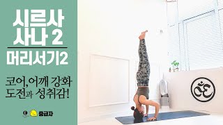 요가마님 [중급자] [머리서기] 물구나무 서는 방법ㅣ헤드 스탠드ㅣ물구나무2ㅣ