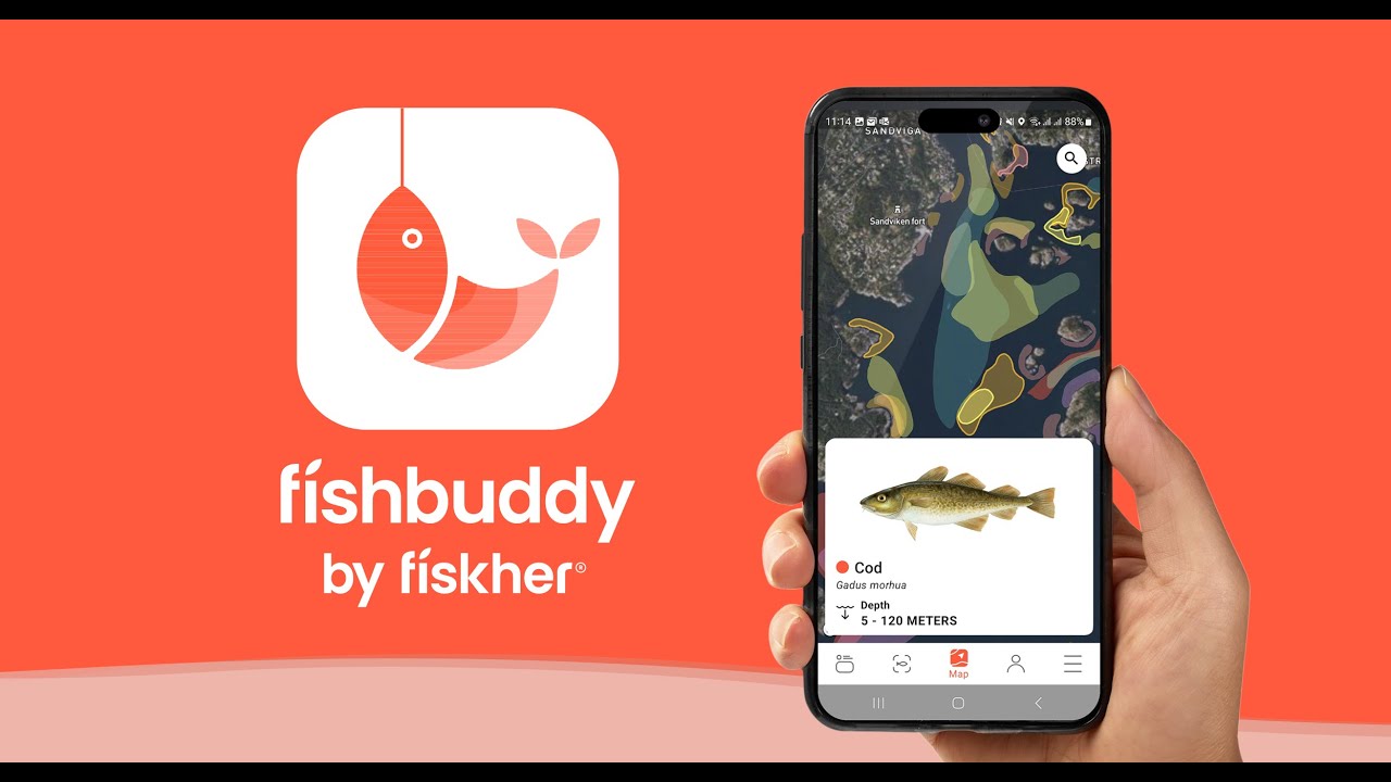 Fishbuddy By Fiskher Youtube