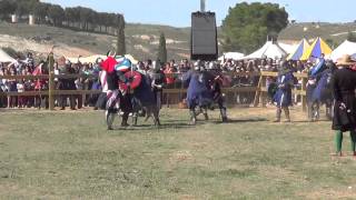 HD IMCF 5vs5   Italia vs USA part 1   01052014