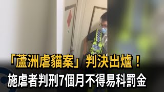 「蘆洲虐貓案」判決出爐！　施虐者判刑7個月不得易科罰金－民視新聞