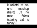 [RoBeats!] Kurokotei x Se-U-Ra Mashup (Hard) 33 NO MISS 60ms (STARING CAT IS FUNNY 😼🙀🛐)