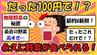 【ガルちゃん有益】野菜買ってる人、ちょっと待って！家庭菜園のコスパが凄すぎる！【ガールズちゃんねる】