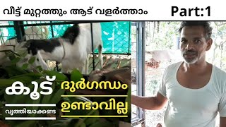 ആട് വളർത്തൽ|2019 |GOAT FARMING IN KERALA without bad smell|AADU VALARTHAL |EM SOLUTION|