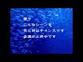 魚の夢の意味診断22選！金運と恋愛運に影響大大大！