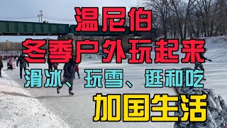 加国生活23：温尼伯人的周末都去哪？出去遛娃滑冰、玩雪、逛和吃#加拿大 #海外生活 #温尼伯 #移民 #留学