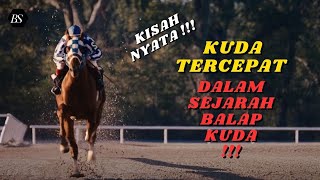 Kuda TERCEPAT Dalam Sejarah !!! - CIKITA (Cerita Kisah Nyata)