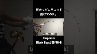 巨大マグロ用ロッド曲げてみた。Carpenter Black Beast 55/70-B#shorts #fishing #tuna #釣り #マグロ #carpenter