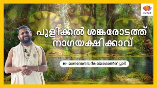 പുനഃസ്ഥാപിച്ച സർപ്പക്കാവ്: പുളിക്കൽ ശങ്കരോടത്ത് നാഗയക്ഷിക്കാവ്  @shankarodathkovilakam #nagapooja