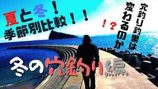 【比較】穴釣り夏と冬で釣果は変わるのか！？