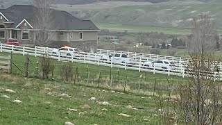 Cache Co. deputies shoot suspect following home robbery, chase