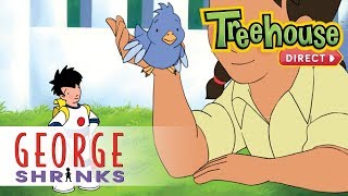 George Shrinks: Close Encounters of the Bird Kind - Ep. 3 | NEW FULL EPISODES ON TREEHOUSE DIRECT!