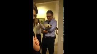 Uber Kittens Visit Phillymag HQ