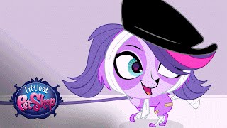 Littlest Pet Shop - 'Can't Give Up' Official Music Video