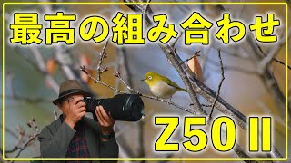 【Nikon】Z50Ⅱに最高の組み合わせのレンズ！これはいい！