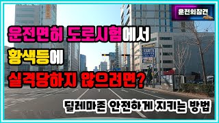 도로주행시험 황색등 신호위반 피하기(딜레마존 완벽 공략) - 운전의참견