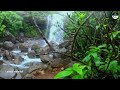 offbeat destination from pune bendewadi waterfall secret surprise near pune