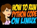 How to Run Python Code on Linux