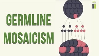 Mosaicisms - Part 1 - Germline Mosaicism