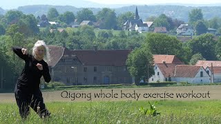 Qigong whole body exercise workout (HD)