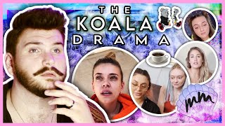 The Koala Drama