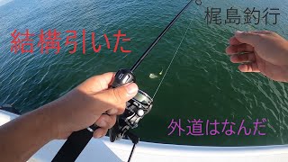 三河湾　梶島周辺釣行